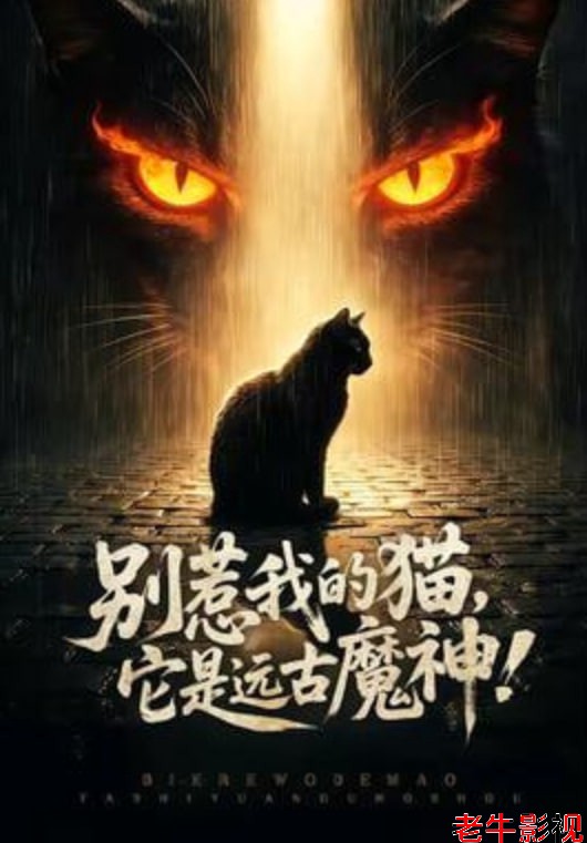 别惹我的猫，它是远古魔神!